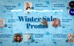 Videohive Winter Sale Promo