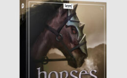 Boom Library HORSES