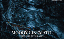 Moody Cinematic Photoshop Action & LUTs