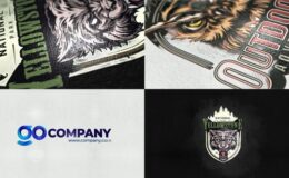 Videohive Simple Reflective Inks Logo Reveal