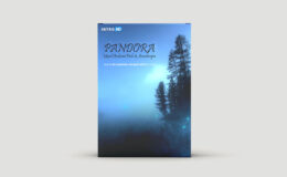 Bluezone Corporation - Pandora - Mixed Ambient Pads & Soundscapes