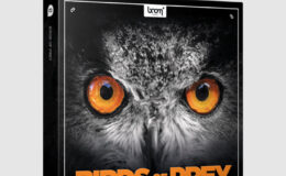 Boom Library - Birds of Prey