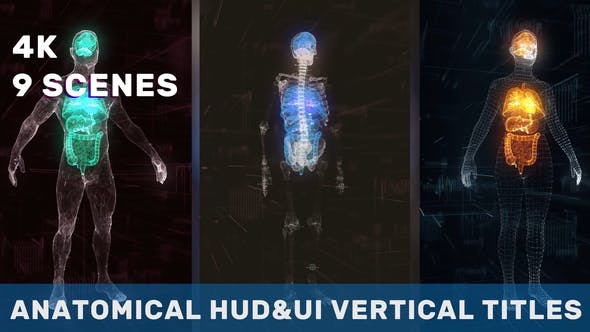 Videohive Anatomical Vertical HUD UI Titles