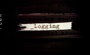 Videohive Logging