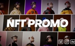 Videohive NFT Collection Promo