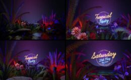 Videohive Tropical Party Opener