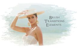 Videohive Brush Transitions Elements\AE