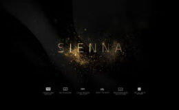 Videohive Sienna | Logo Reveal Pack 6in1