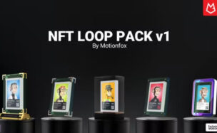 Videohive NFT Loop Mockup v1