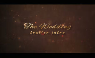 Videohive Wedding Intro