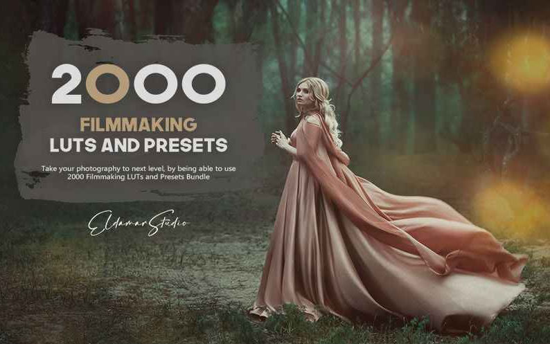 2000 Filmmaking Presets and LUTs Bundle - InkyDeals preview