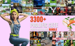 3300+ Prolific Overlays Bundle – InkyDeals