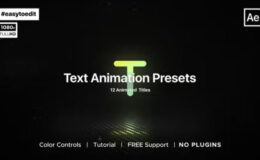 Videohive Essential Text Animation Presets