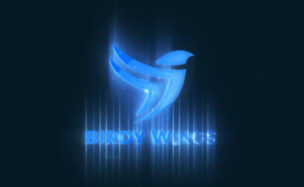 Videohive Filmic Logo Reveal