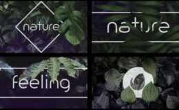 Videohive Nature Logo Intro