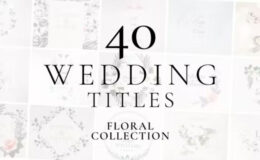 Videohive Wedding Titles