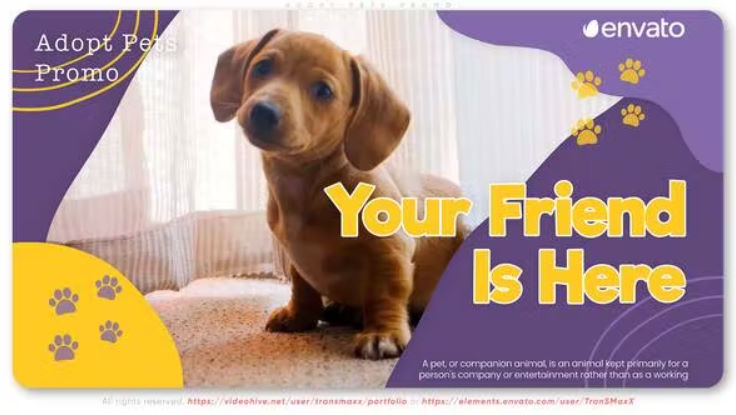 Videohive Adopt Pets Promo