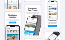 Videohive App Promo Instagram Stories