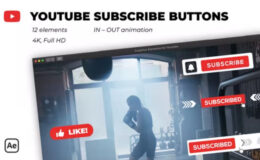Videohive Youtube Subscribe Buttons