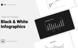 Videohive Black & White Infographics
