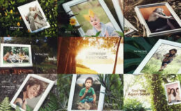 Videohive Life Memory In The Summer Photo Gallery