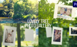 Videohive Lovely Tree Photo Gallery