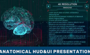 Videohive Anatomical HUD UI Presentation
