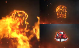 Download Epic Fire Logo Reveal Videohive