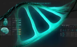 Videohive HUD Medical Interface DNA
