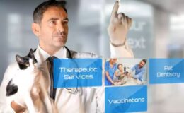 Videohive Vet Clinic - Pet Veterinary Hospital Intro