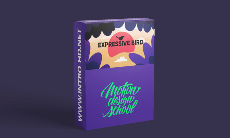 Motion Design School Expressive Bird Animation