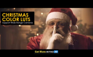 Videohive Christmas LUTs