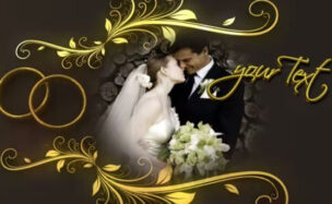 Videohive Wedding Rings