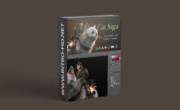 WingFox Cat Saga - create advanced 3D concept art model by Sanhanat Suwanwised