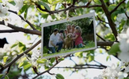 Videohive Family Photo Gallery