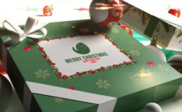 Videohive Christmas Box Logo