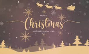 Videohive Christmas Intro 41885884