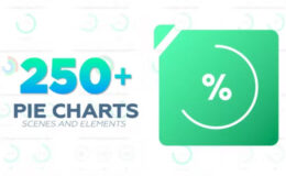 Videohive Infographic | 250+ Pie Chart