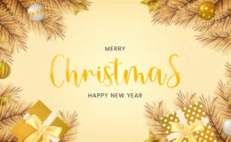Videohive Merry Christmas Ident