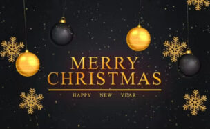 Videohive Merry Christmas Intro