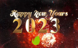 Videohive New Year Countdown 42445666