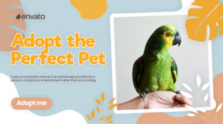 Videohive Adopt Pet Promo
