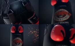 Videohive Boxing Gloves Logo Reveal