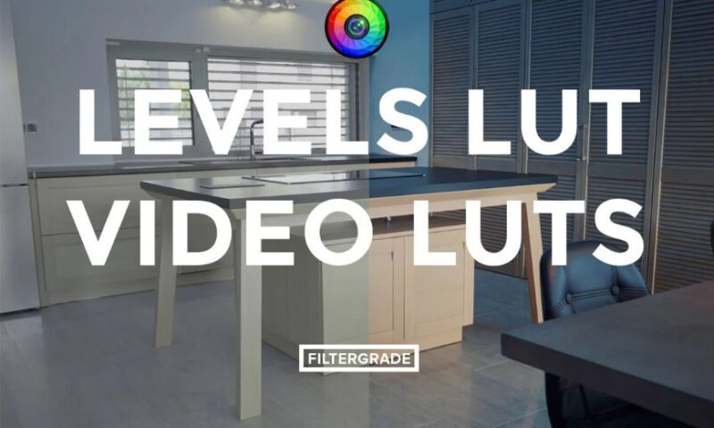 FilterGrade Levels LUT Video LUTs