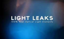 Vegasaur Light Leaks Bundle