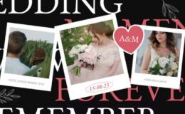 Videohive Wedding Invitation Video Display After Effect Template