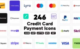 Videohive 246 Credit Card & Payment Lottie Icons