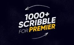 Videohive 1000+ Scribble Premiere
