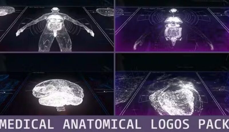 Videohive Medical Anatomical Logos Pack