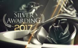 Videohive Silver Awarding Pack
